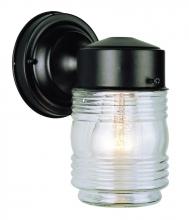 Trans Globe 4900 BK - Quinn 1-Light Classic Glass Jar Shade Outdoor Wall Light