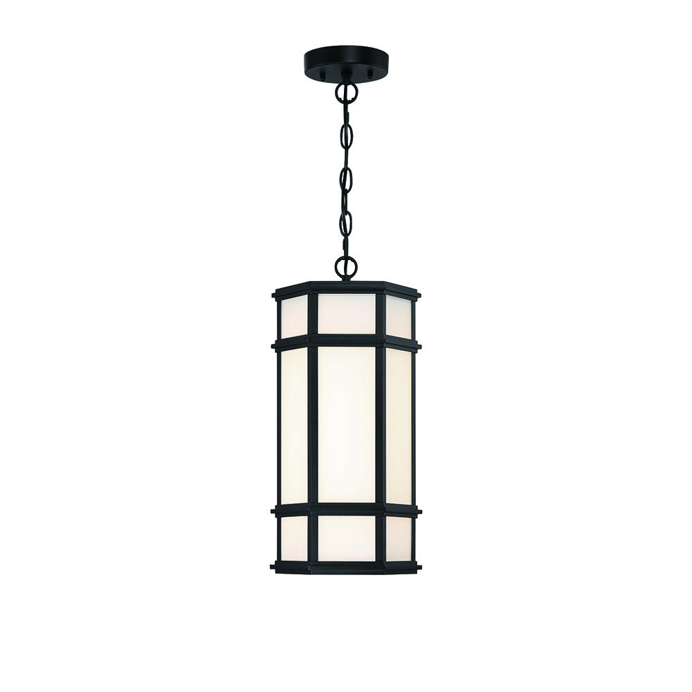 18" Outdoor LED Pendant