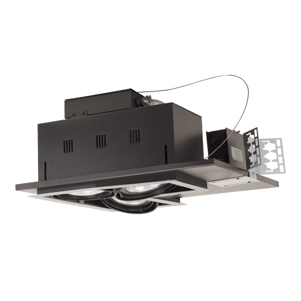 3-Light Double Gimbal Linear Recessed Line Voltage Fixture.